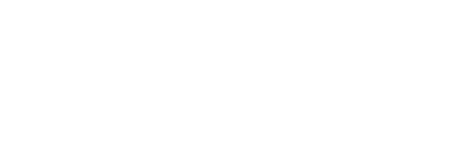Minishettys vom Oberlausitzblick