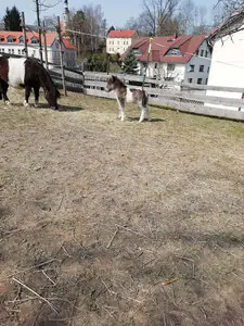 Anika vom Oberlausitzblick