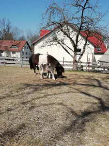 Anika vom Oberlausitzblick