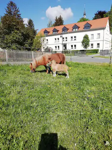 Hanka vom Oberlausitzblick